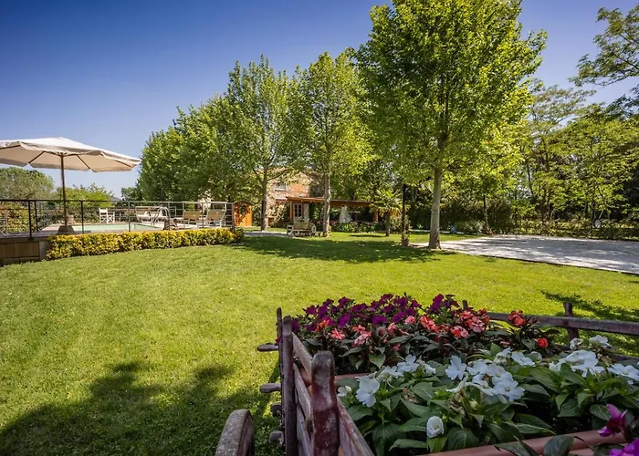 Bed and Breakfast Vecchio Granaio Pisa